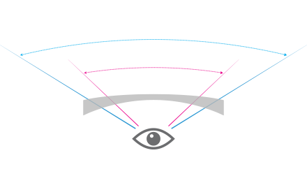 Far Near Field Vision